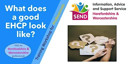 What does a good Education Health & Care Plan look like? for Professionals