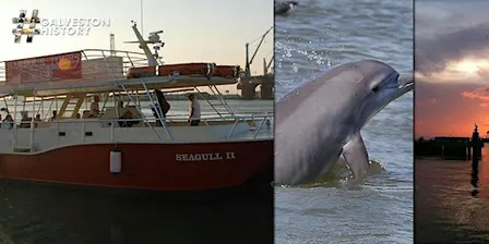 Galveston Historic Harbor Tour and Dolphin Watch