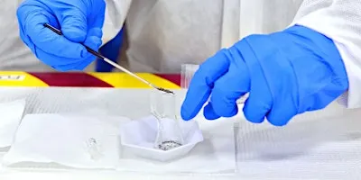 Who Stole my Sweater? An Intro to DNA Fingerprinting (for ages 9-14)