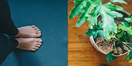 Mindful Yoga (11/2–11/16)