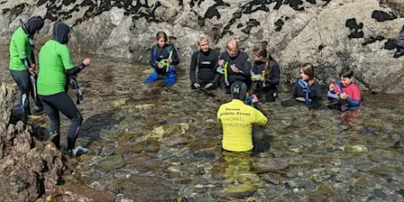 Snorkel Safari