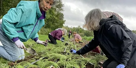 Revive The Roots Volunteer Days 2026