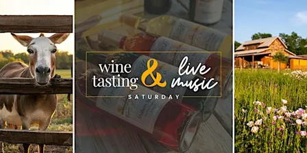 Wine Tasting and Live Acoustic Music by Lance List | Anna, TX