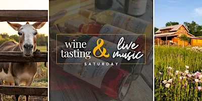 Wine Tasting and Live Acoustic Music by Meia Borden | Anna, TX