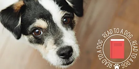 Read to Tiny, the Therapy Dog in September!