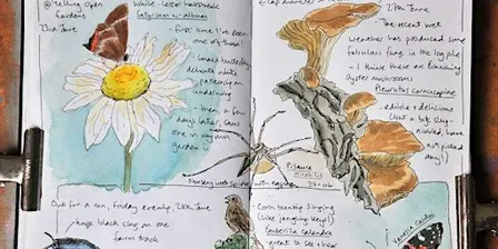 Nature Journaling with Sharon - 19th Oct PP