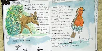 Nature Journaling with Sharon - 21st September PP