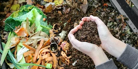 Introduction to home composting: traditional, worms, & bokashi