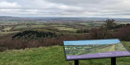 Guided Downland Walk