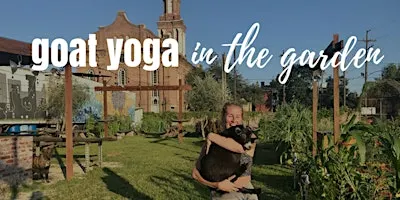Baby Goat Yoga @ Paradigm Gardens | New Orleans