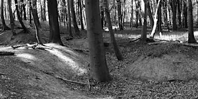WW1 Practice Trenches guided tour