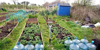 The Joy of Growing: What to plant now for harvests in the Spring