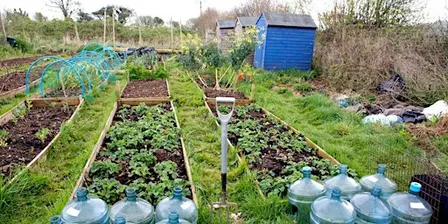 The Joy of Growing: What to plant now for harvests in the Spring