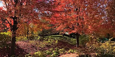 Fall colors and harvest Workshop!