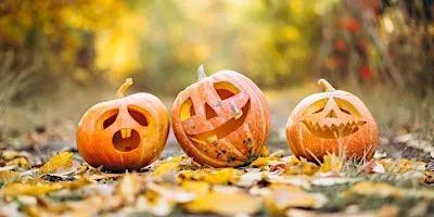 WILDFAMILIES Spooktacular at The Wolseley Centre