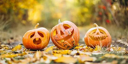 WILDFAMILIES Spooktacular at The Wolseley Centre