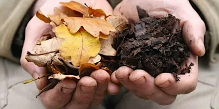 Regen soil management for horticulture