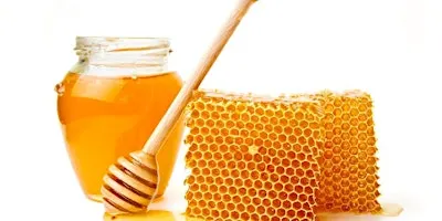 Honey Tasting and Madeline Cakes
