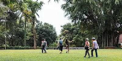 From Seed to Tree: Fort Canning (26 Sept 26)