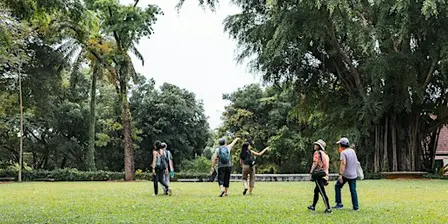From Seed to Tree: Fort Canning (28 Nov 26)