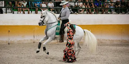 Espectáculo de caballos + flamenco + cena| Horse show + flamenco + dinner