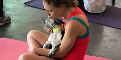 Doggy Noses & Yoga Poses at Connecticut Valley Brewing Company