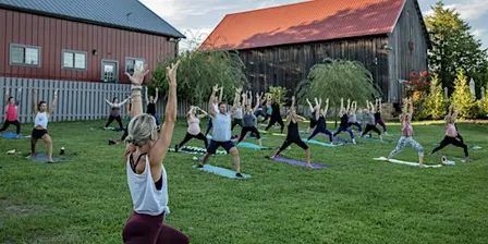 Vino & Vinyasa with Lindsay Cook at Great Frogs Winery