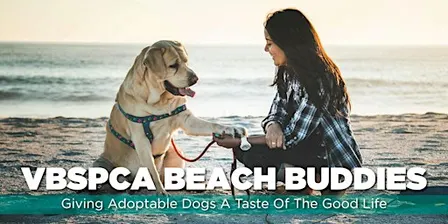 VBSPCA Beach Buddies