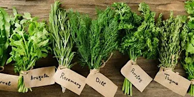 Herbs Cooking Experience