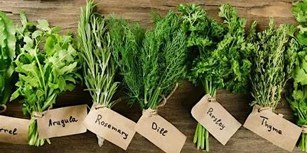 Herbs Cooking Experience