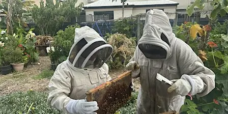 Introduction to Beekeeping class 14th/15th Nov 2026 - for 15yrs+.