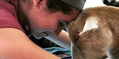 Goat Yoga (Lots of goat snuggles)
