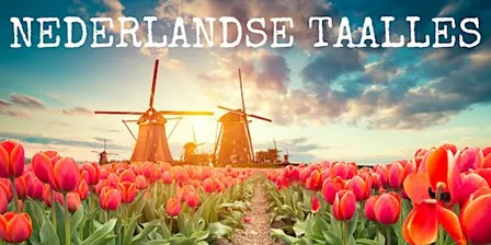 Nederlandse taalles