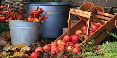 Growing fruit for beginners – including fruit trees and soft fruit
