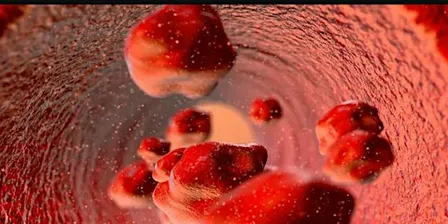 HeartSaver Bloodborne Pathogens - Full Course