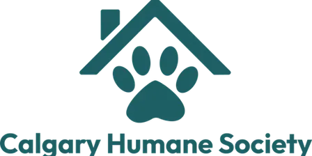 Reading Buddies - Saturday, October  10th (2:00pm-3:00pm)