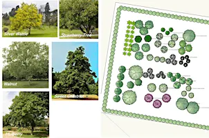 Agroforestry systems - Forest Gardens  & Syntropic for food production