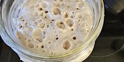 Sourdough Starter 101 Class  9/19/26