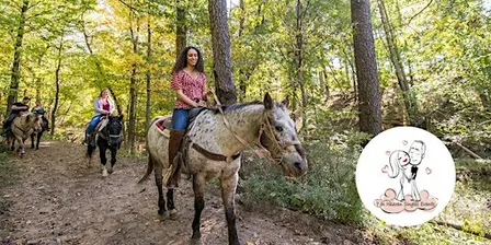 Singles Ages 20's 30's 40's Fall Horseback Riding in Connetquot Park