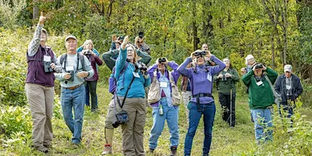 FLOC: First Friday Birding October
