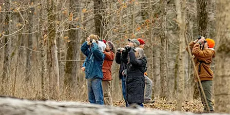 FLOC: First Friday Birding November