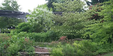 Nursery and Demonstration Garden Tours 2026