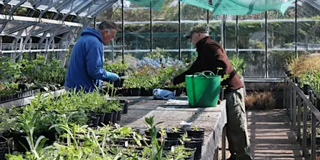 Garden Nursery Volunteering