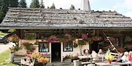 Regional Focus: Cheese of The French Alps