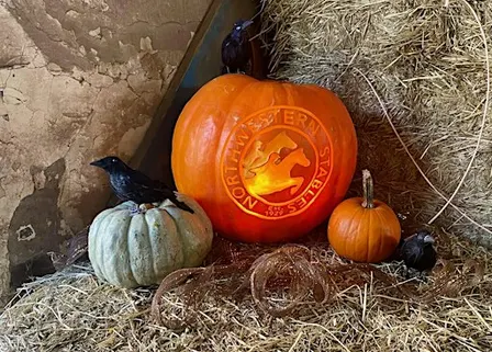 Haunted Horses