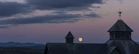 Good Night, Farmyard