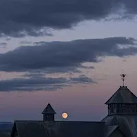 Good Night, Farmyard