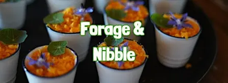 FORAGE & NIBBLE in the Forest Of Bowland (Lancashire)