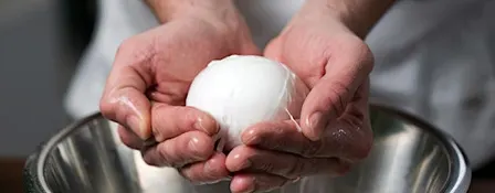 Hands-On Cheesemaking: Burrata