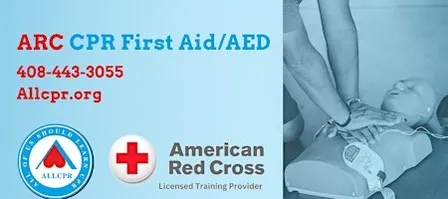 Red Cross Adult&Pediatric First Aid/CPR/AED class in Cary